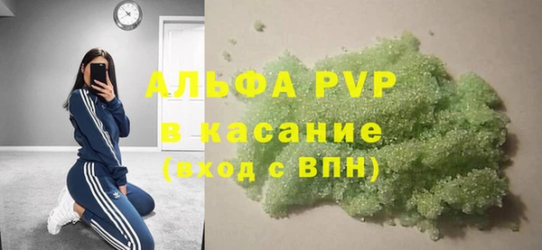 стаф Дмитриев