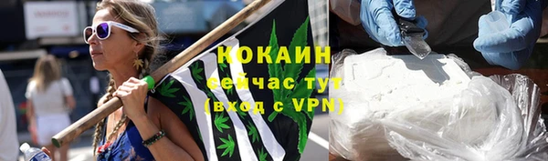 стаф Дмитриев