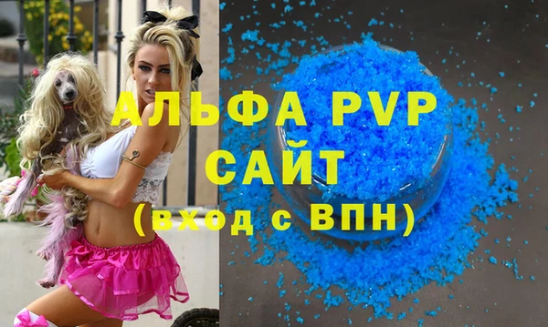 стаф Дмитриев