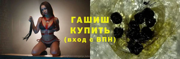 стаф Дмитриев