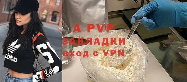стаф Дмитриев