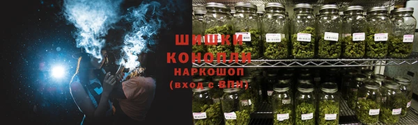 стаф Дмитриев