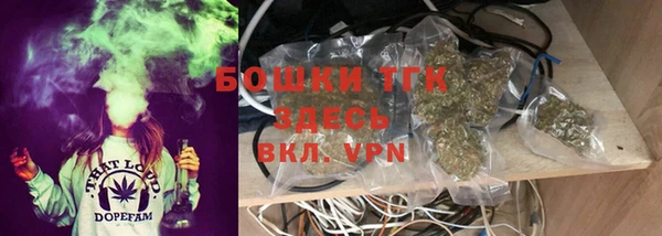 стаф Дмитриев