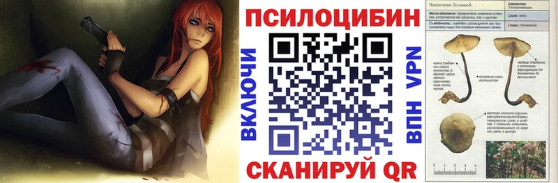 Купить  Пугачёв  Галлюциногенные грибы ЛСД 
